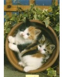 1500 PIECES - ANIMAUX : CURIEUX POT DE FLEUR