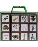 DUJARDIN - 12 CUBES EDUCATIFS - CUBES - PUZZLE ENFANT