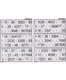 PLAQUE DE 6 GRILLES DE LOTO - LOTOQUINE - ACCESSOIRE LOTO