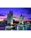 PUZZLE LA FAMILLE DES LIONS 1000 PIECES - COLLECTION PANORAMA - EDUCA - 14531