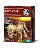 SQUELETTE DE DINOSAURE : TRICERATOPS