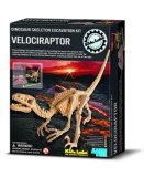 SQUELETTE DE DINOSAURE : VELOCIRAPTOR