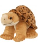 TORTUE