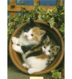 1500 PIECES - ANIMAUX : CURIEUX POT DE FLEUR