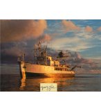 1500 PIECES - SOCIETY COUSTEAU : NOUVELLE GUINEE 1988 