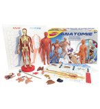 ANATOMIE - JOUSTRA - 47001 - JEU EDUCATIF CORPS HUMAIN