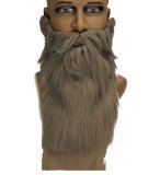 BARBE LONGUE GRISE