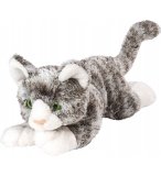 CHATON GRIS