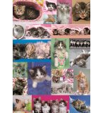 EDUCA - 14442 - PUZZLE - COLLAGE DE CHATONS - 1000 PIECES