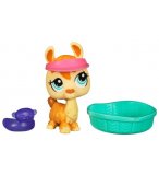 LITTLEST PETSHOP LAMA 1460 + ACCESSOIRE - HASBRO - 94129