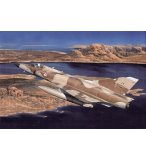 MAQUETTE AVION MILITAIRE MIRAGE III C/B - ECHELLE 1/48 - HELLER - 80411