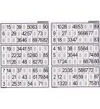 PLAQUE DE 6 GRILLES DE LOTO - LOTOQUINE - ACCESSOIRE LOTO