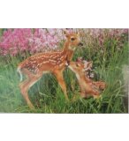 PUZZLE 2 FAONS 1000 PIECES - COLLECTION ANIMAUX - PARTY PUZZLE - 01050