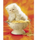 PUZZLE CHAT DANS UNE PASSOIRE 260 PIECES - CLEMENTONI - 21103D