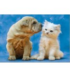 PUZZLE CONFIDENCES CHIEN / CHAT 500 PIECES - EDUCA - 14806