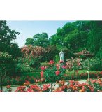 PUZZLE ILE DE MAINAU, LAC DE CONSTANCE 500 PIECES - RAVENSBURGER - 142378