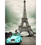 PUZZLE OURS AMELIE DE JOELLE WOLF 500 PIECES - NATHAN - 871865