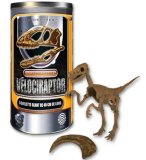 SQUELETTE GEANT VELOCIRAPTOR - BUKI - 366 - JEU DE CONSTRUCTION