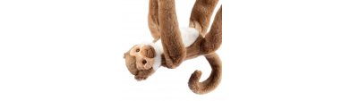 Animaux de la for�t