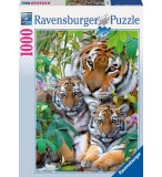 1000 PIECES - DAUPHINS : NEW HOPE