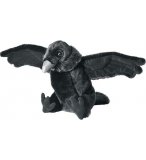CORBEAU