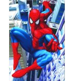 PUZZLE SPIDERMAN 500 PIECES - EDUCA - 13674