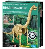 SQUELETTE DE DINOSAURE : BRACHIOSAURUS