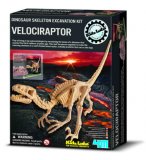 SQUELETTE DE DINOSAURE : VELOCIRAPTOR