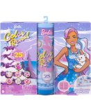 CALENDRIER DE L'AVENT BARBIE COLOR REVEAL : 1 POUPEE + 3 ANIMAUX + TENUES + ACCESSOIRES - MATTEL - HJD60