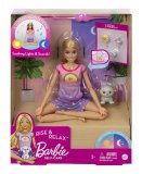 COFFRET BIEN ETRE BARBIE MEDITATION - RISE & RELAX - MATTEL - HCN08 - POUPEE, CHIOT & ACCESSOIRES