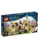 LEGO HARRY POTTER 76395 POUDLARD : LA PREMIERE LECON DE VOL