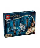 LEGO HARRY POTTER 76432 LA FORET INTERDITE : LES CREATURES MAGIQUES