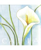 LOT DE 20 SERVIETTES EN PAPIER CALLA - SERVIETTAGE