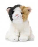 PELUCHE CHAT ASSIS CALICO 20 CM - ANNA CLUB - 23179007