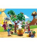 PLAYMOBIL ASTERIX 70933 PANORAMIX ET LE CHAUDRON DE POTION MAGIQUE