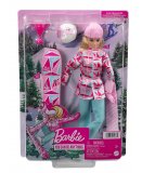 POUPEE BARBIE SNOWBOARDEUSE 30 CM AVEC ACCESSOIRES - SPORT D'HIVER - MATTEL - HCN32