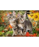 PUZZLE 2 ADORABLES CHATONS DANS LA NATURE - 1500 PIECES COLLECTION ANIMAUX FAMILIERS - CASTORLAND - 151899