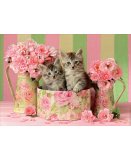 PUZZLE 2 CHATONS DANS UNE BOITE ET DES BOUQUETS DE ROSES 500 PIECES - COLLECTION ANIMAUX - EDUCA - 17960