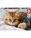 PUZZLE ANIMAUX : CHATON 200 PIECES - EDUCA - 17154