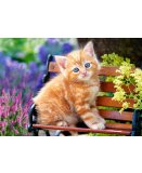 PUZZLE CHAT ROUX ASSIS SUR UN BANC 500 PIECES - COLLECTION TENDRESSE