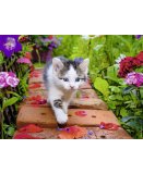 PUZZLE CHATON AU JARDIN 500 PIECES - COLLECTION TENDRESSE - NATHAN - 87185