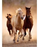 PUZZLE CHEVAUX QUI COURENT EN LIBERTE 1000 PIECES - COLLECTION ANIMAUX SAUVAGES - CLEMENTONI - 39168