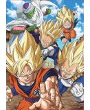 PUZZLE DRAGON BALL Z SONGOTEN PICCOLO 500 PIECES - COLLECTION DESSINS ANIMES - EDUCA - 18216