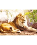 PUZZLE LE ROI DES ANIMAUX : LION COUCHE - 1500 PIECES COLLECTION VIE SAUVAGE - NATHAN - 87815