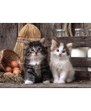 PUZZLE MIGNONS CHATONS 1000 PIECES - COLLECTION ANIMAUX DOMESTIQUES - CLEMENTONI - 39340