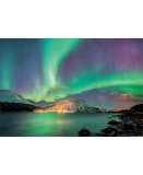 PUZZLE NORVEGE AURORE BOREALE 1000 PIECES - COLLECTION PAYSAGE - EDUCA 17967