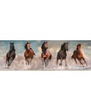 PUZZLE PANORAMA CHEVAUX BRUN ET NOIR QUI COURENT 1000 PIECES - COLLECTION ANIMAUX - CLEMENTONI - 39875