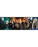 PUZZLE PANORAMA HARRY POTTER 1000 PIECES - COLLECTION FILM FANTASTIQUE - CLEMENTONI - 39873