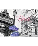 PUZZLE PARIS MON AMOUR - 1500 PIECES COLLECTION MONUMENT DE FRANCE - RAVENSBURGER - 16296