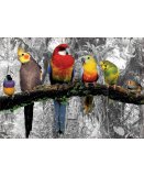 PUZZLE PERROQUETS DANS LA JUNGLE 500 PIECES - COLLECTION OISEAUX - EDUCA - 17984